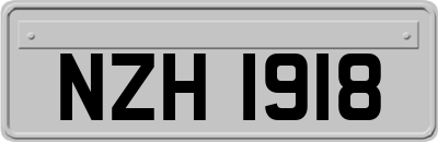 NZH1918