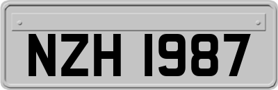NZH1987