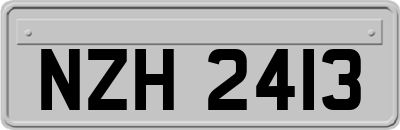 NZH2413