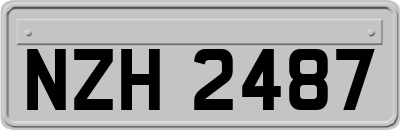 NZH2487