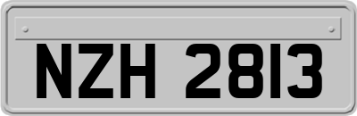 NZH2813