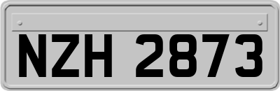 NZH2873