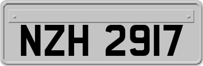 NZH2917