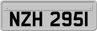 NZH2951