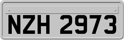 NZH2973