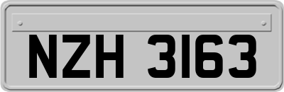 NZH3163