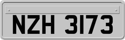 NZH3173