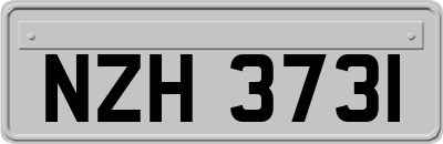 NZH3731