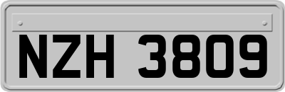 NZH3809