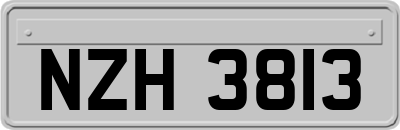 NZH3813