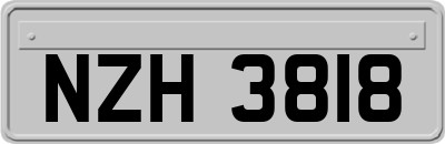 NZH3818