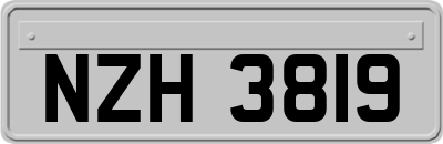 NZH3819