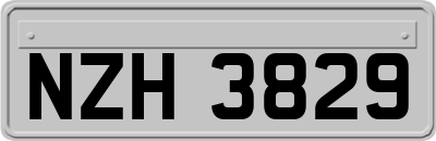 NZH3829