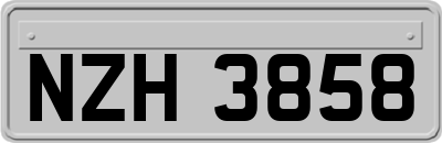 NZH3858