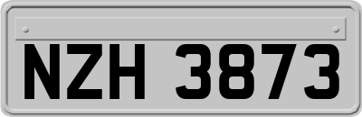 NZH3873