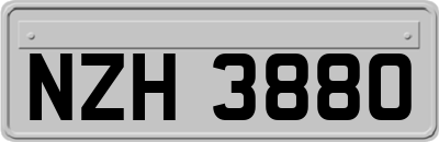 NZH3880