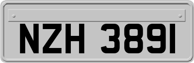NZH3891