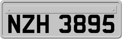 NZH3895