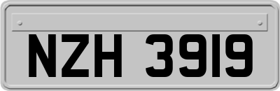 NZH3919