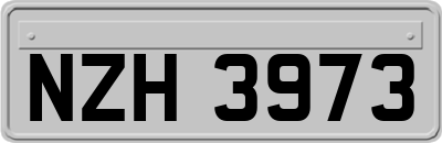NZH3973
