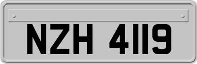 NZH4119