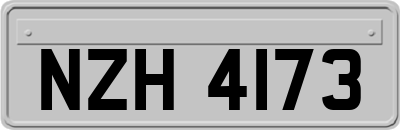 NZH4173