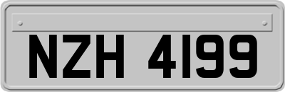 NZH4199
