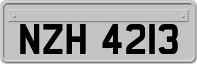 NZH4213