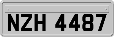 NZH4487