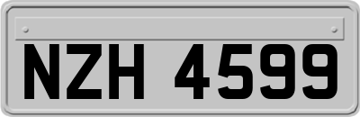NZH4599