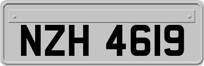NZH4619