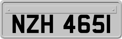 NZH4651