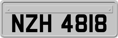 NZH4818