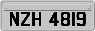 NZH4819