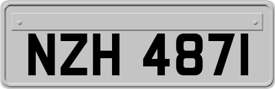 NZH4871