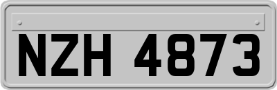 NZH4873