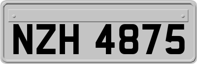 NZH4875