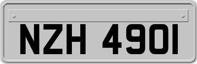 NZH4901