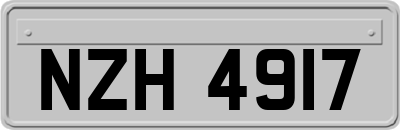 NZH4917