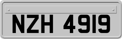 NZH4919