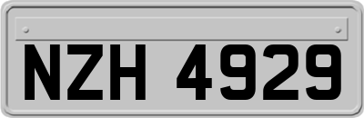 NZH4929