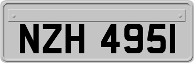 NZH4951