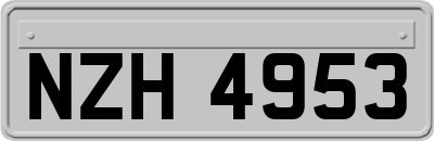 NZH4953