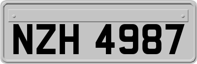 NZH4987