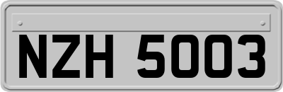 NZH5003