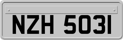 NZH5031