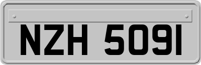 NZH5091
