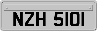 NZH5101