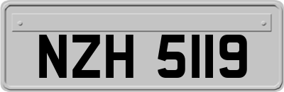 NZH5119