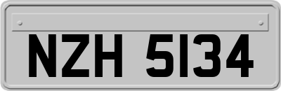 NZH5134